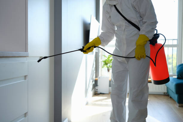 Best Residential Mold Removal  in Avon, CO