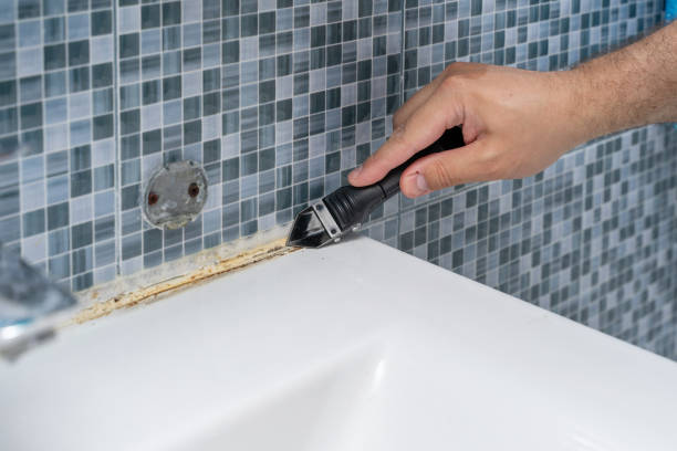 Office Mold Removal Services in Avon, CO